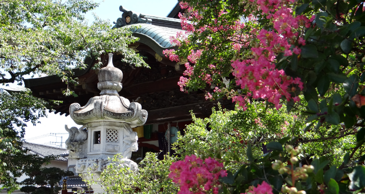 大光寺について