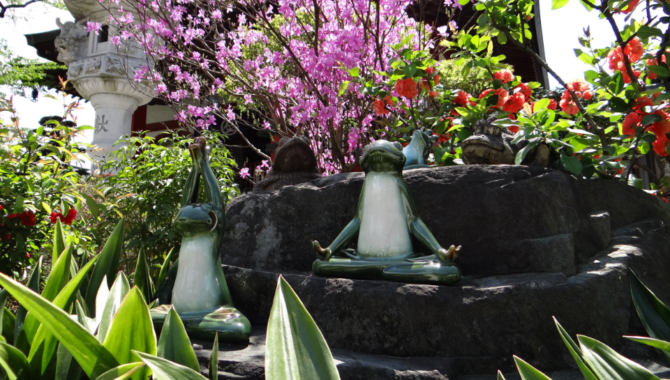 八王子・高尾 大光寺のカエル